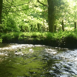 ruisseau